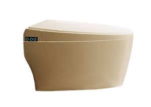 Automate Intelligent Wall Mounted Closet