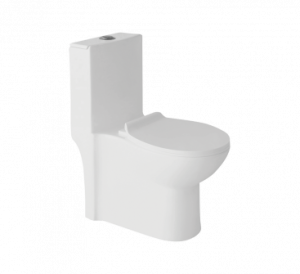 ELEGANCE S-220 One Piece Water Closet