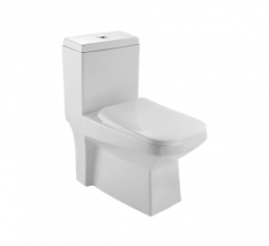 ENIGMA S-220 One Piece Closet ENIGMA S-220 One Piece Closet