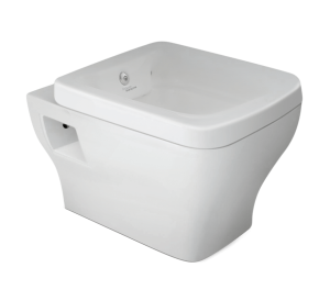 Element Rimless With Integrated Jet Flush Wall Mounted Closet Element Rimless With Integrated Jet Flush Wall Mounted Closet