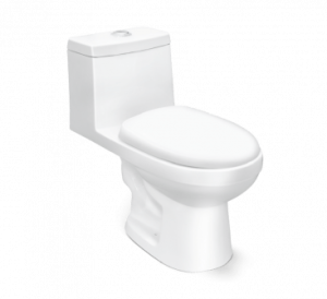 ALPINE Rimless One Piece Water Closet