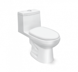 ALPINE S-220 One Piece Water Closet