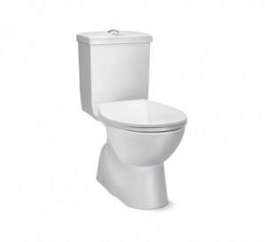 CEDAR One Piece Water Closet