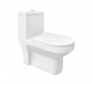 EVITA S-220 One Piece Water Closet