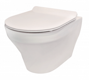 Rene Wall Mounted Water Closet
