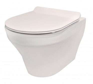 Rene Wall Mounted Water Closet