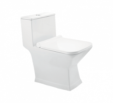 TOZZO S-220 One Piece Water Closet TOZZO S-220 One Piece Water Closet