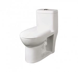 VEGA S-300 One Piece Water Closet
